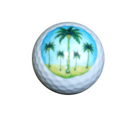 Китай шарик/шар для игры в гольф практики гольфа гольфа ball/2PC шара для игры в гольф ряда двухкусочные поставщик
