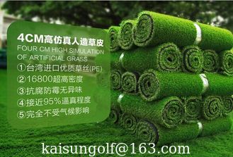 Китай Искусственная трава зеленых цветов гольфа дерновины, поддельная дерновина поставщик