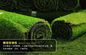 Искусственная трава зеленых цветов гольфа дерновины, поддельная дерновина поставщик