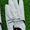 перчатки гольфа перчатки pu перчатки овчины перчатки pu перчатки cabretta перчатки людей перчатки гольфа поставщик